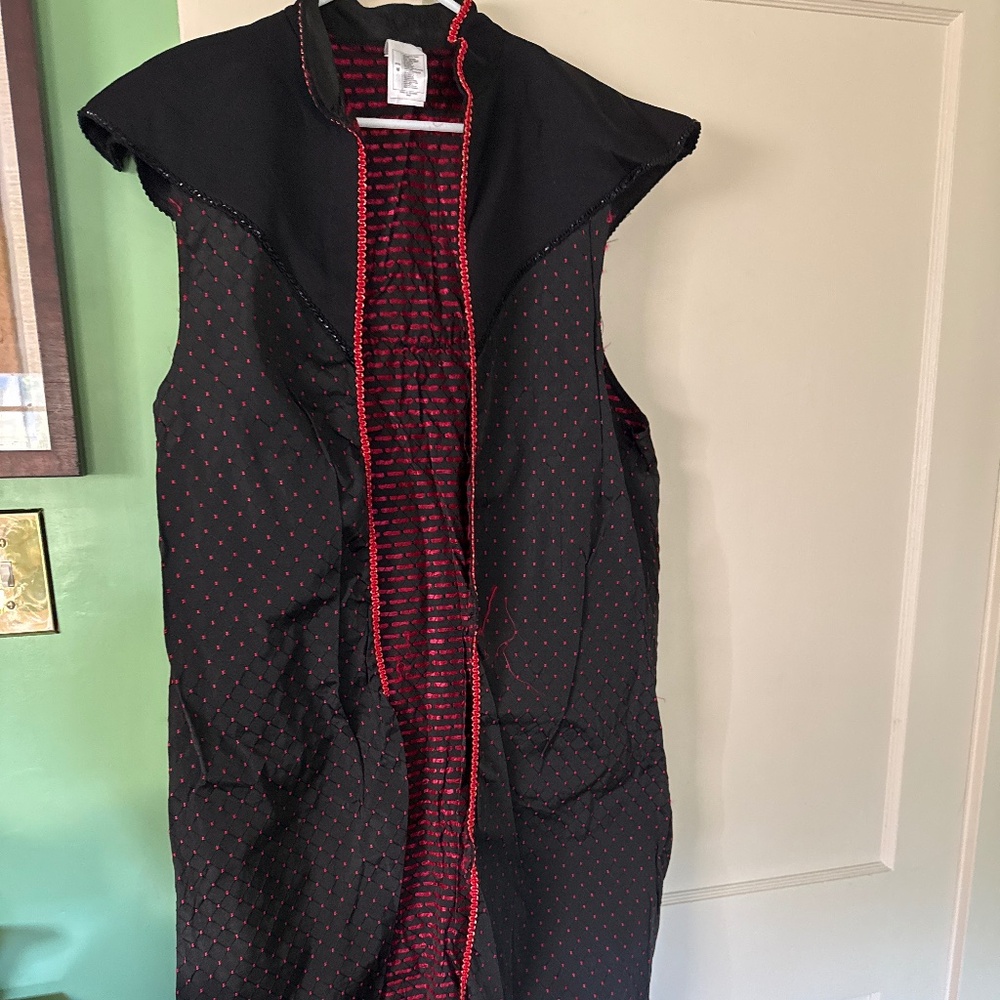 Disney Adult Halloween costume